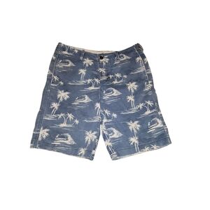 Hollister Shorts Mens Size 33